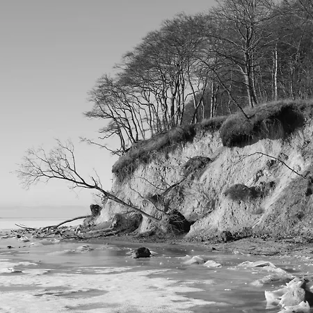 Appartementhaus Moewe Haus Moewe 1 